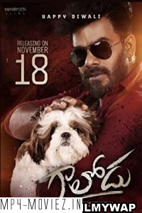 Gaalodu (2022) Hindi Dubbed Movie